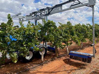 Ideal Weedstar 2-3 Row Orchard/Vineyard Sprayer