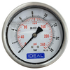 Ideal Pressure Gauge 100MM (4”) 1/4” BSPT Rear Inlet